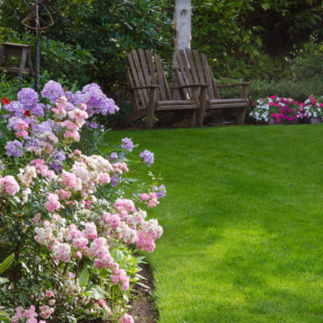 popular landscaping projects