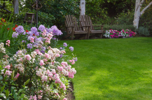 popular landscaping projects